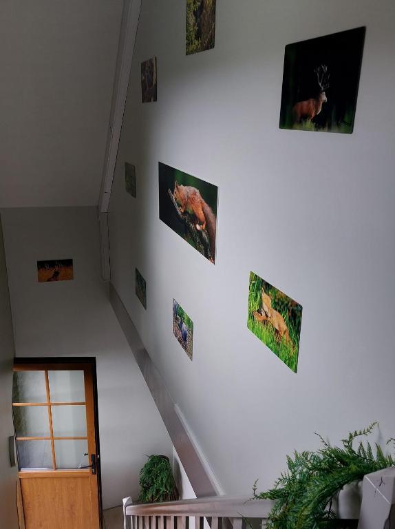 Fotografie z fotogalerie ubytování Ô Baguenaudes v destinaci Jalhay