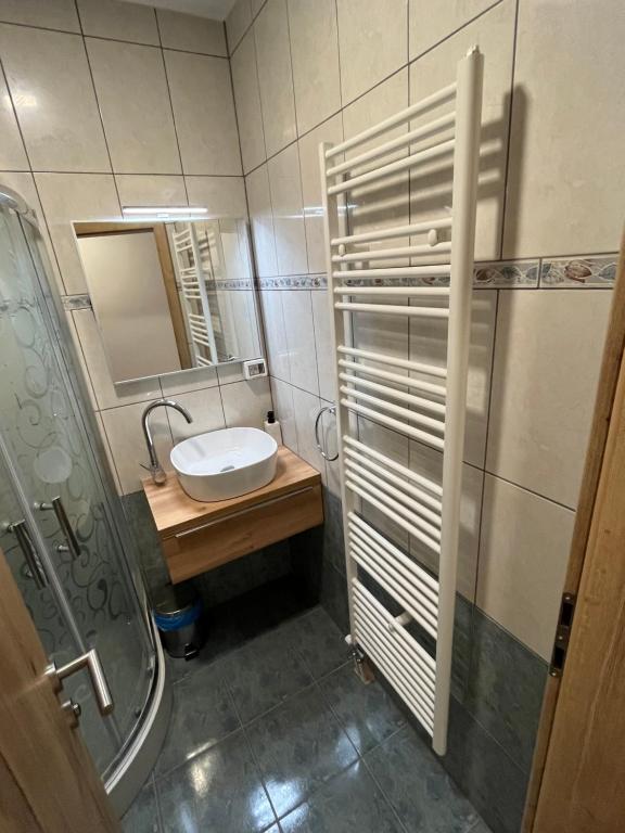 Koupelna v ubytování Rooms Balkovec