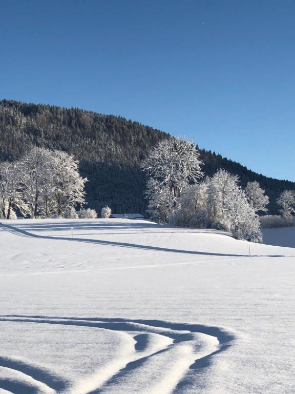 Lindenhof Inzell - FeWo mit Chiemgaukarte - 19