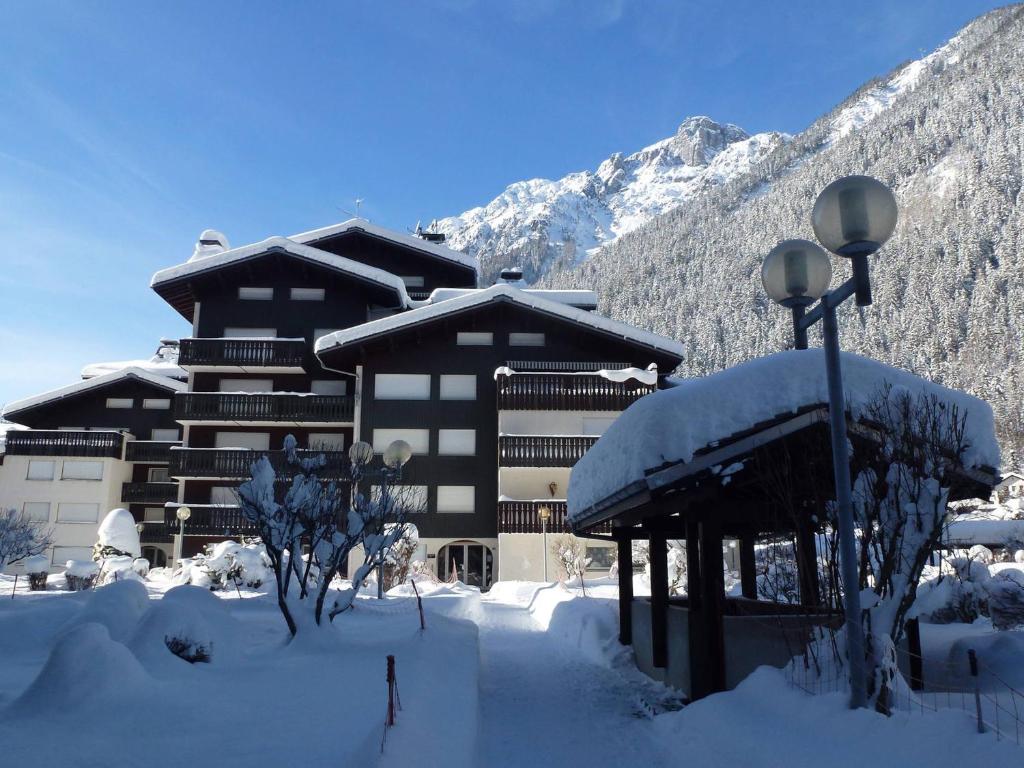 Studio cosy, 4 pers, pied des pistes, centre Chamonix, tout équipé, Wifi inclus - FR-1-343-154 v zime