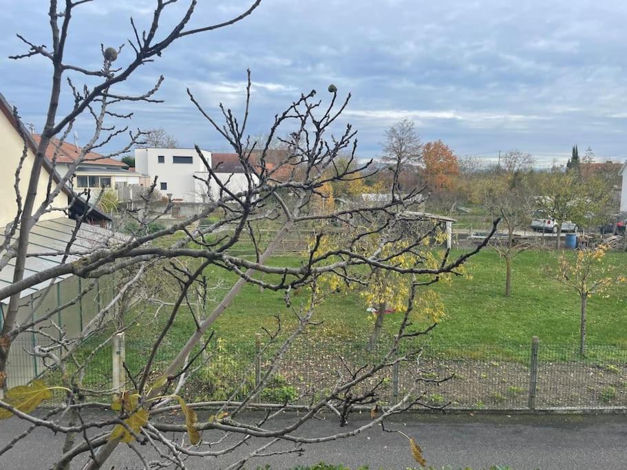 Ogród w obiekcie La Grange proche d’Europapark