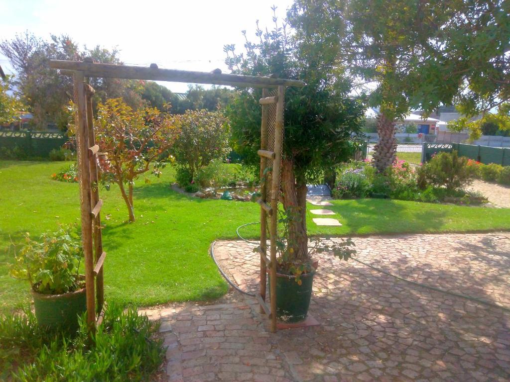 a garden with a wooden pergola and some plants at Fisherhaven Guest House in Hermanus
