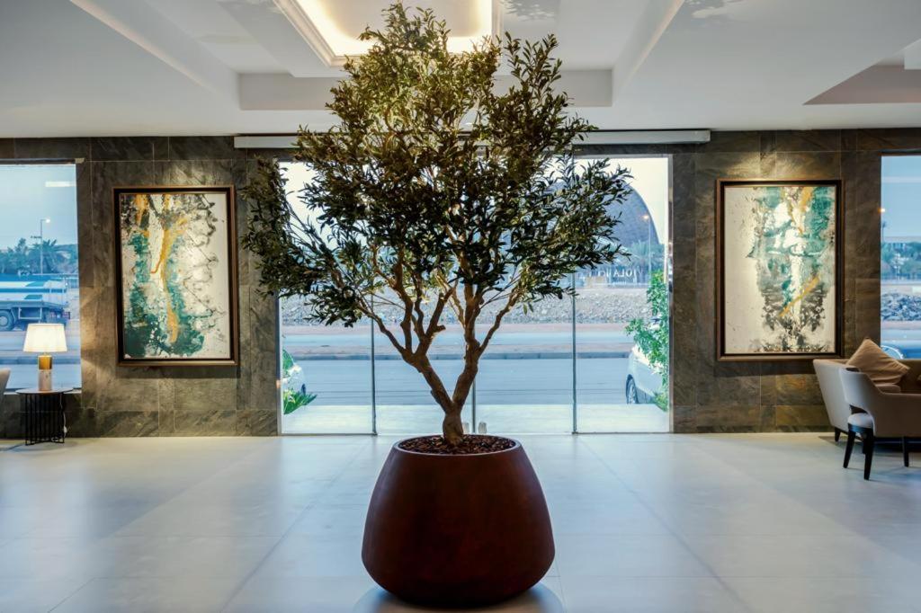 Viola Gardens Residence في الرياض: شجرة في قدر كبير في بهو الفندق
