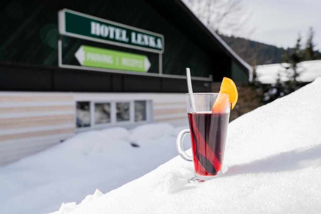 Hotel Lenka v zimě