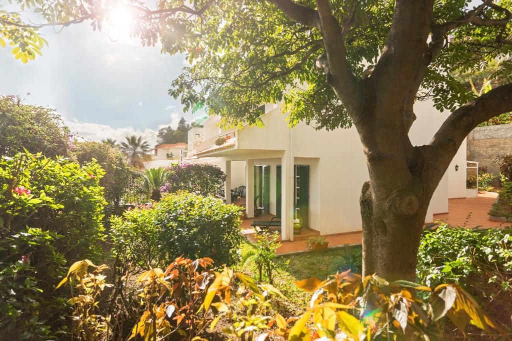 una casa con un árbol delante de ella en Garajau I by An Island Apart, en Caniço