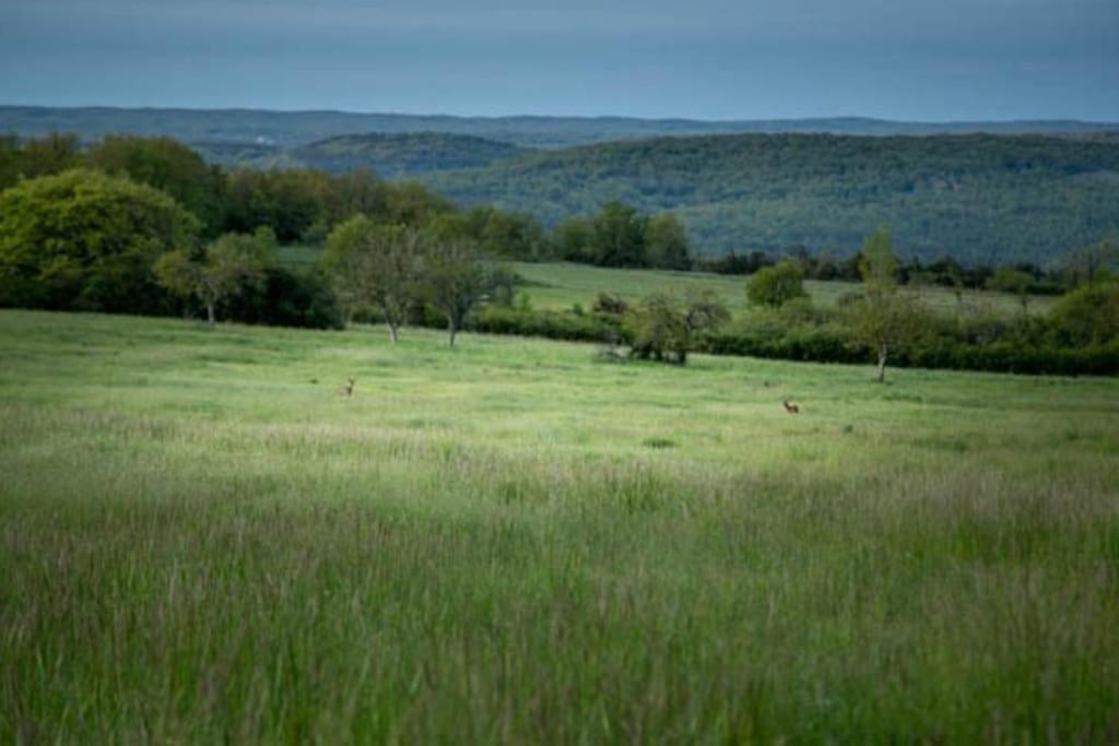 un gran campo de hierba con animales. en Les Trigones du Causse -Maison atypique avec Piscine Privée, en Saint-Martin-Labouval