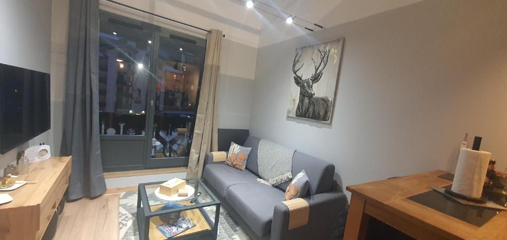 een woonkamer met een blauwe bank en een raam bij Duplex Aiguille du midi CHAMONIX in Chamonix-Mont-Blanc