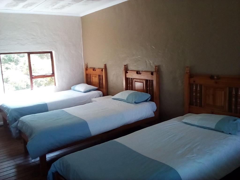 a room with three beds in a room at Bisho Park guesthouse in King Williamʼs Town