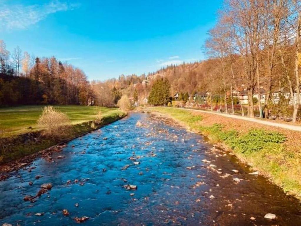 Příroda nedaleko penzionu