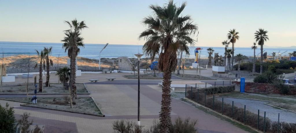 park z palmami i oceanem w tle w obiekcie LE BARCARES 50M PLAGE w mieście Le Barcarès