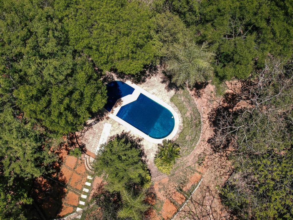 Quinta Taruma Róga