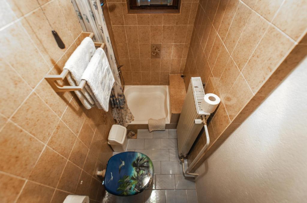 Koupelna v ubytování Apartment Ticar