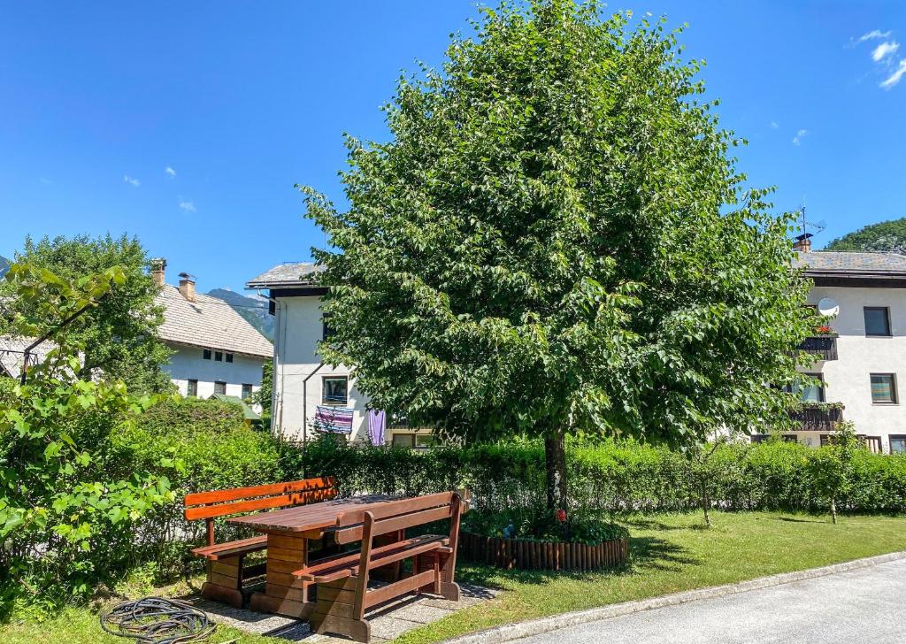 Zahrada ubytování Apartment Ticar