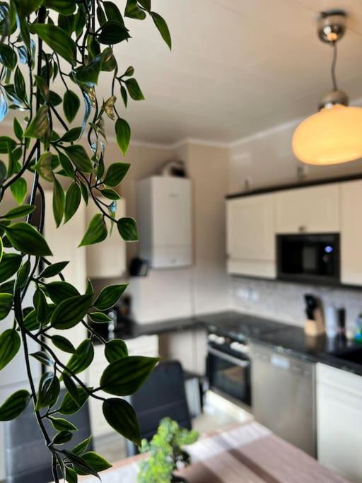 Kuchyň nebo kuchyňský kout v ubytování Gemütliches Reihenhaus mit Terrasse