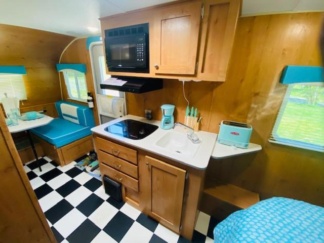 a small kitchen with a sink and a microwave at Umpqua's Last Resort - Wilderness Cabins, RV Park & Glamping in Idleyld Park