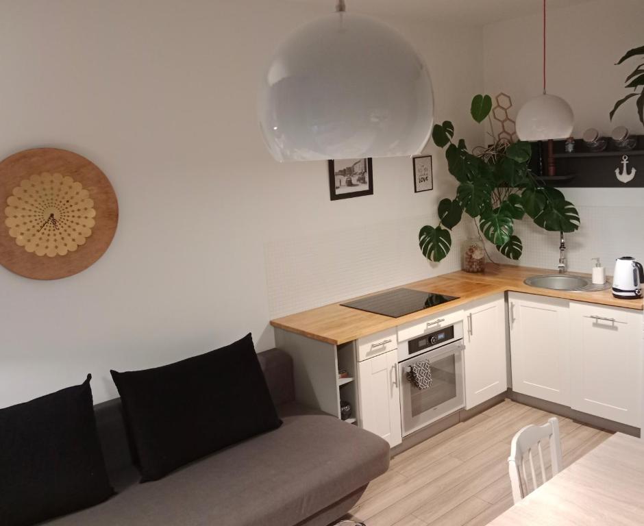 Kuchyň nebo kuchyňský kout v ubytování Apartament Nad Rzeką