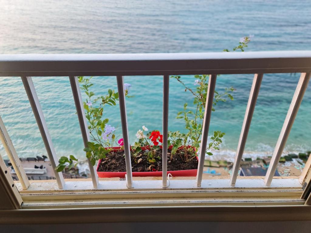 a window with a flower pot on a balcony overlooking the ocean at Nour 1 in Alexandria