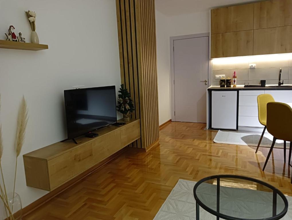 尼什的住宿－Welcome Apartments，带电视的客厅和厨房