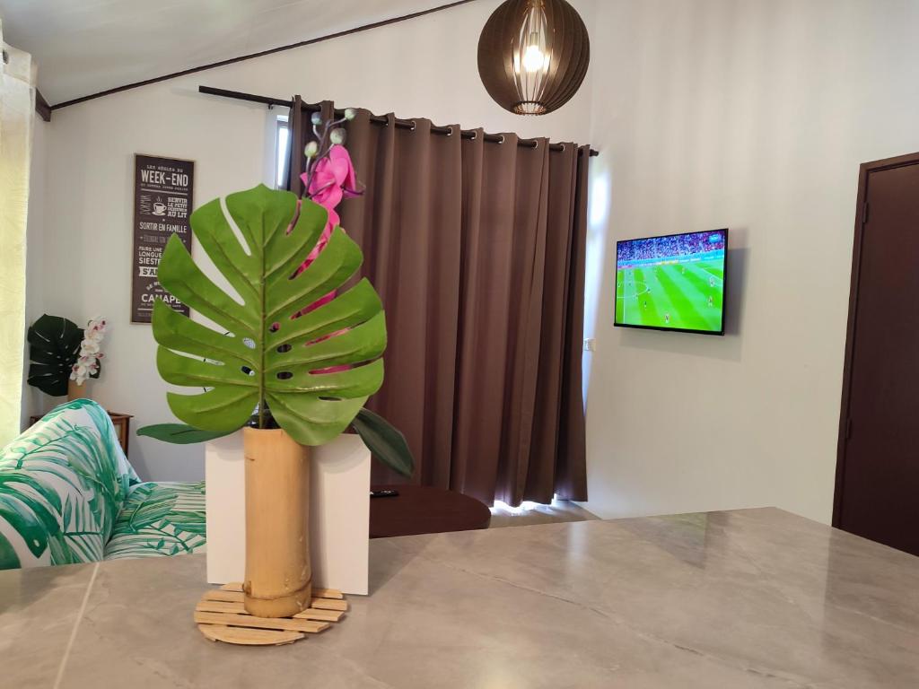 una planta sentada en una mesa en una habitación en O'hale Perry en Pirae