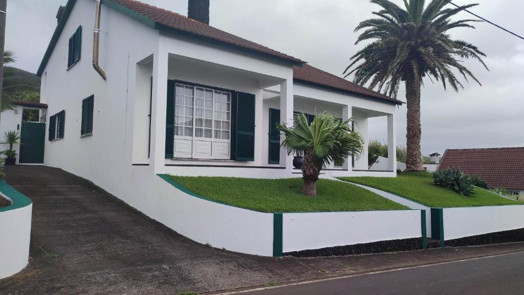 una casa blanca con una palmera delante de ella en Casa da Palmeira en Velas