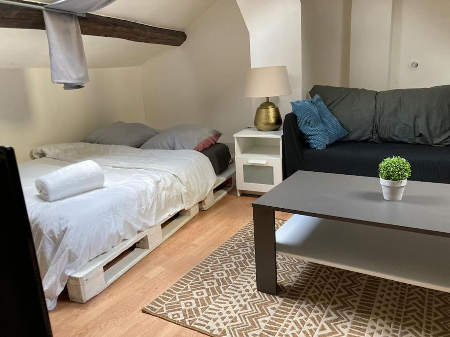 a living room with a bed and a couch at Studio Place d’Italie/Denfert-Rochereau in Paris