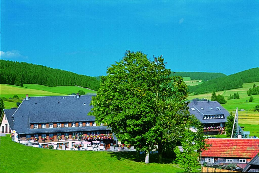 Příroda nedaleko hotelu