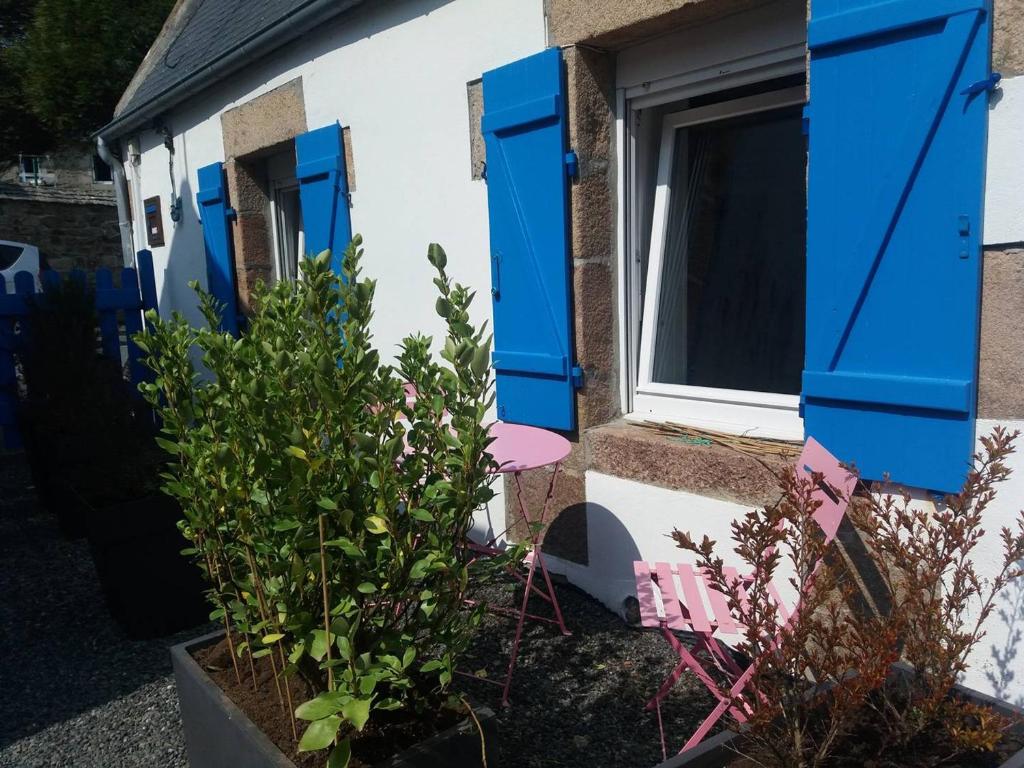 une maison avec des volets bleus et une chaise rose à côté d'une plante dans l'établissement Maison Perros-Guirec, 2 pièces, 2 personnes - FR-1-368-249, à Perros-Guirec