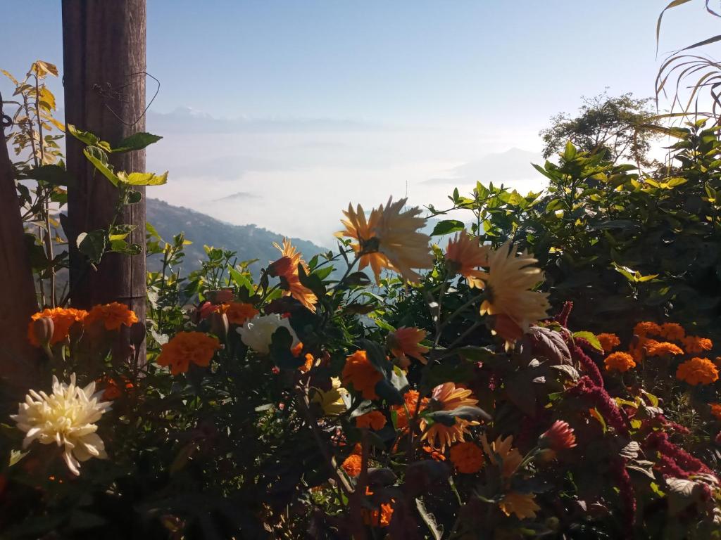a bunch of flowers in front of a pole at Unique point home stay in Nagarkot