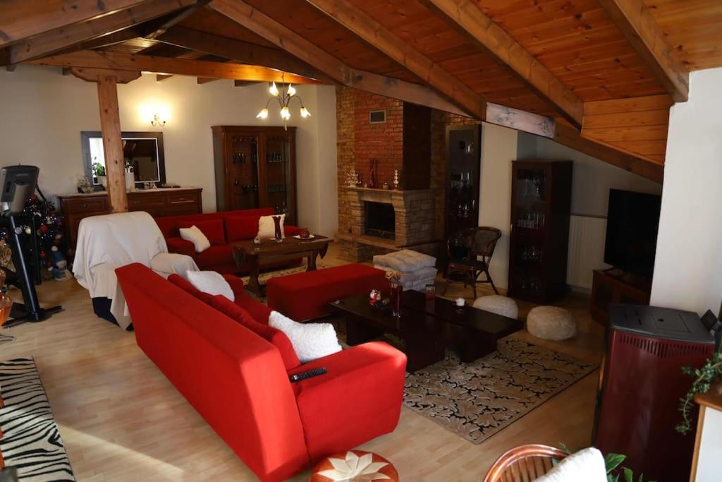 a living room with red furniture and a fireplace at Soffitta House Sofi! in Florina