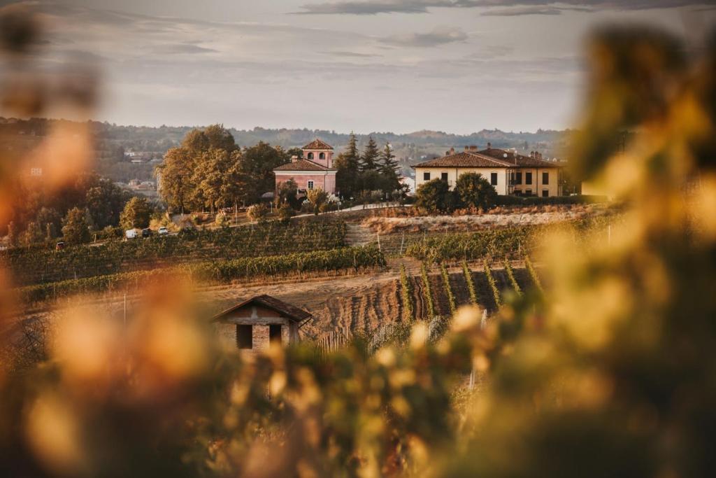 Agriturismo Tenuta La Romana