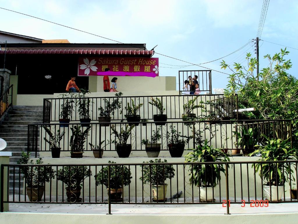 un grupo de plantas en macetas frente a un edificio en Sakura Guest House en Cameron Highlands