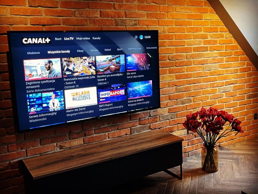 Televízia a/alebo spoločenská miestnosť v ubytovaní Old Town Luxury Apartments Zgorzelec