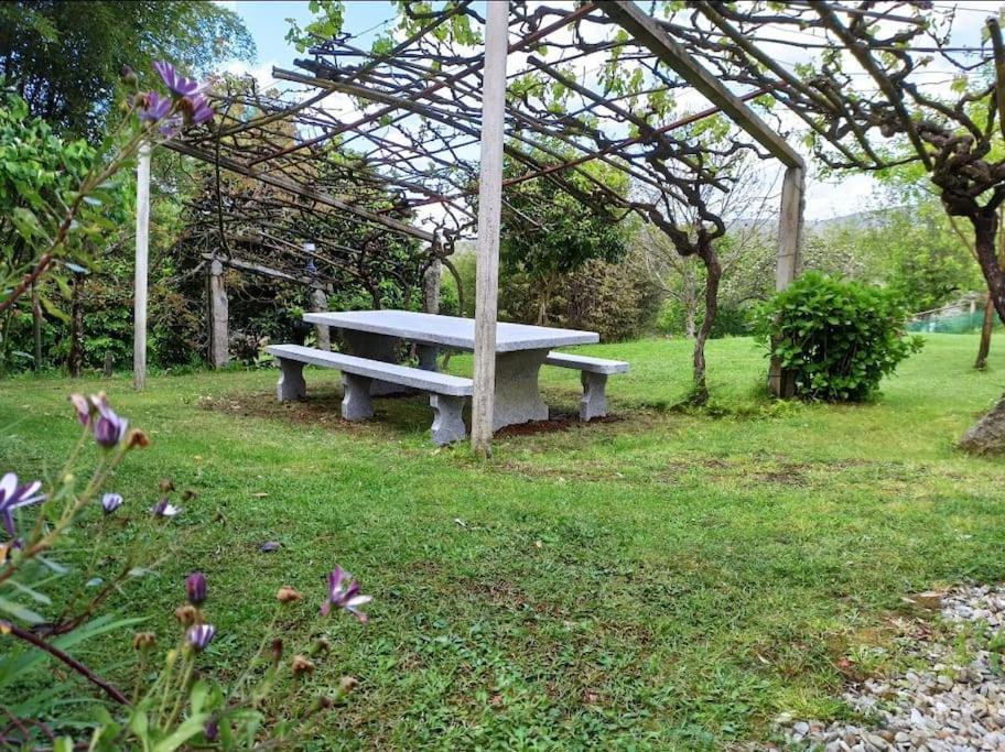 Vonkajšia záhrada v ubytovaní A Viña de Lina. Turismo rural con piscina y finca.