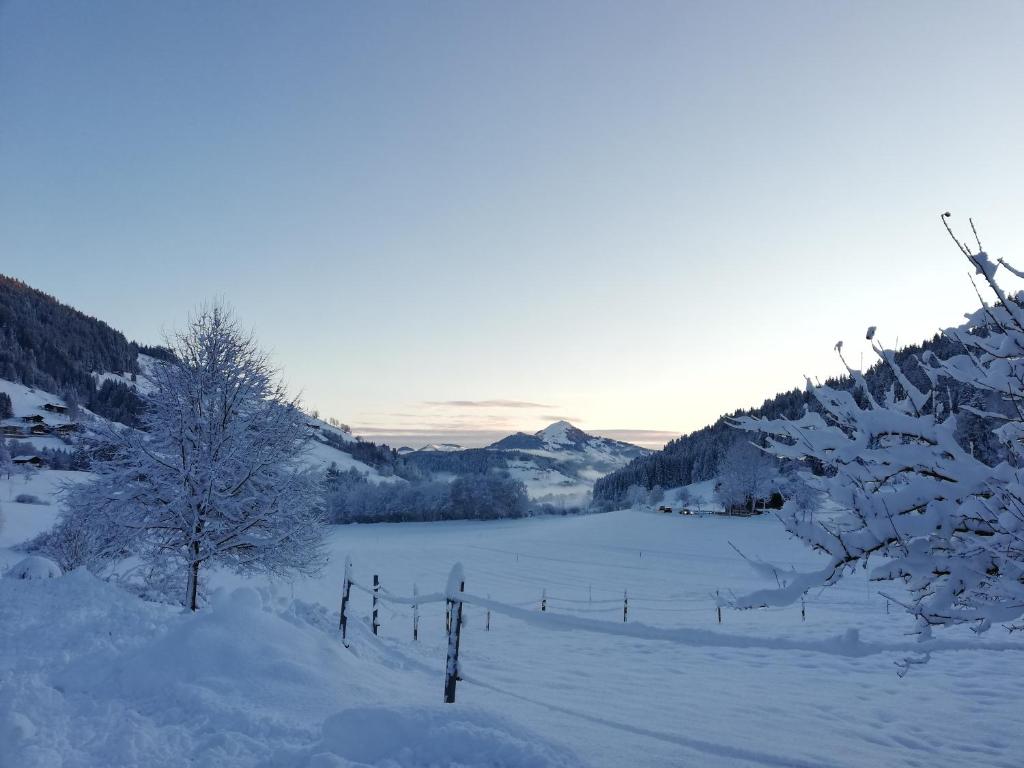 a fence in a field covered in snow at Pension Steinerhof in Oberau