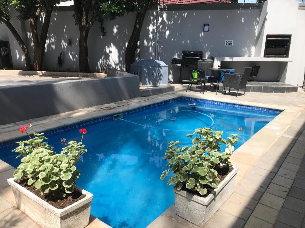 uma piscina com dois vasos de plantas ao lado em Aluve Guesthouse em Joanesburgo