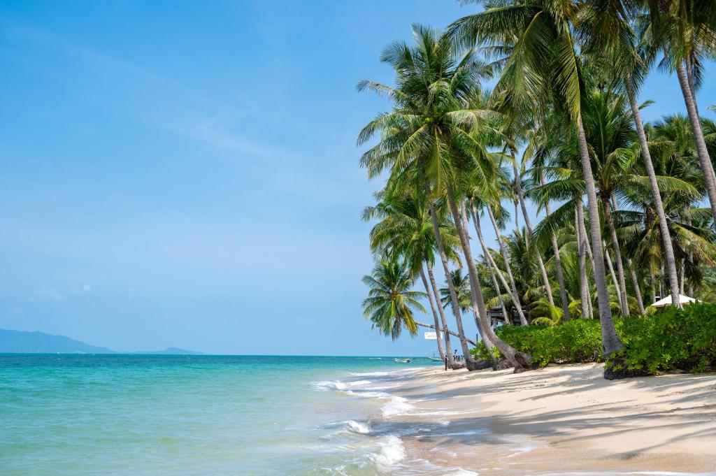 a beach with palm trees and the ocean at Sea&Sky Beach Resort in Mae Nam