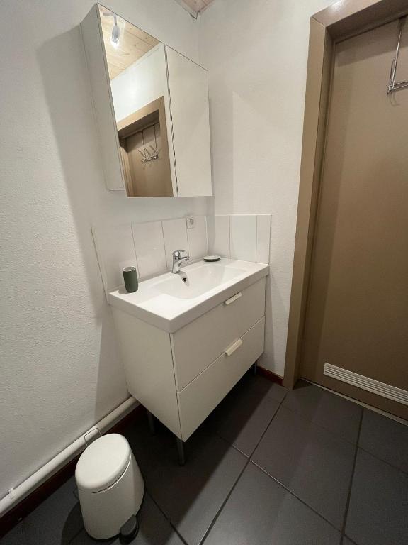 a bathroom with a sink and a mirror and a toilet at Gîte Les trois charmes in Gouvy
