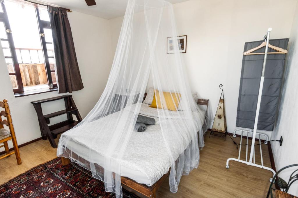 a bedroom with a bed covered in mosquito net at Los Pajaros in Santa Cruz de Tenerife