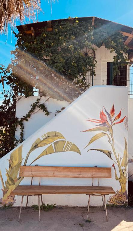 Fotografie z fotogalerie ubytování Los Pajaros v destinaci Santa Cruz de Tenerife