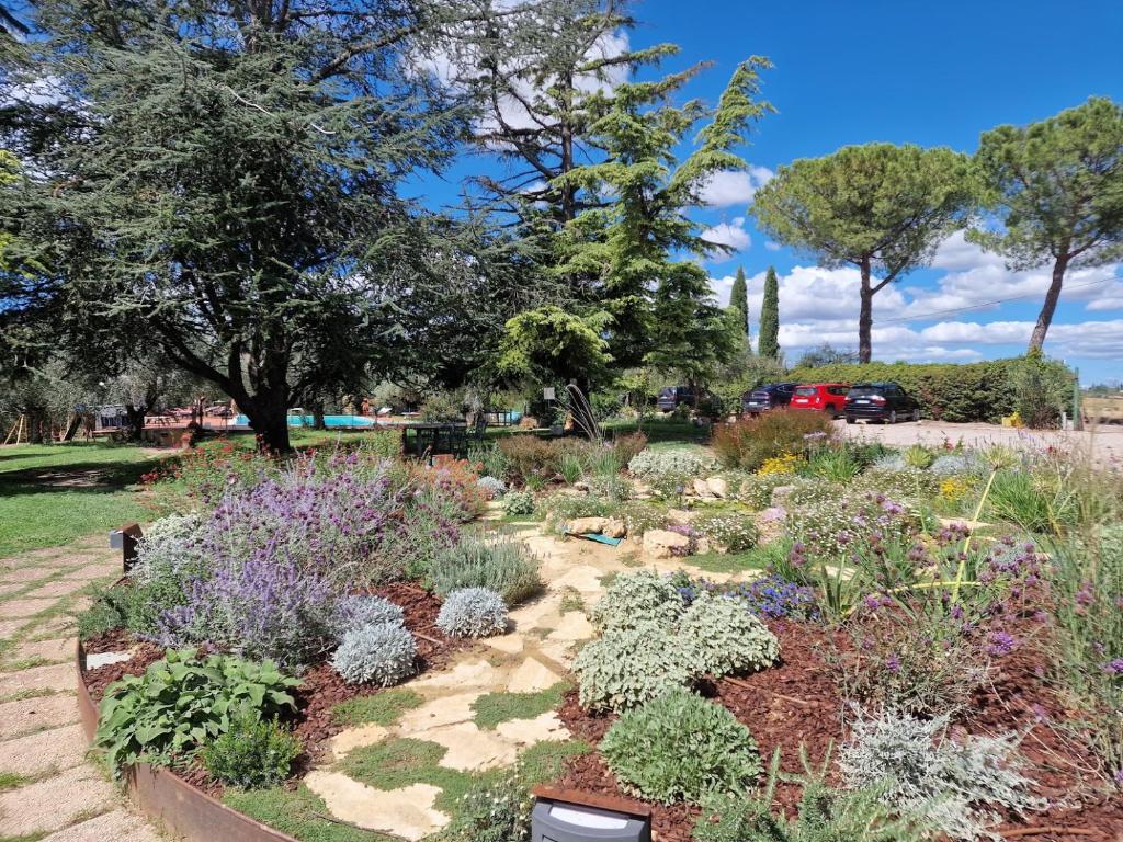 ogród z kwiatami i roślinami w parku w obiekcie Poggio del Sole w mieście Castiglione del Lago