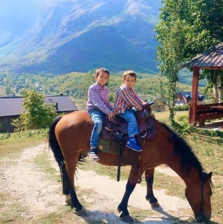 two children are riding on a horse at Dedushi Guesthouse &Wood cabins-Camping place in Gusinje
