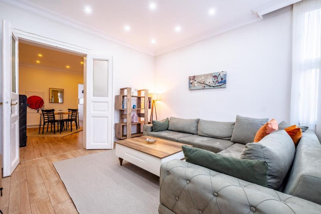 Apartment Flat with Bosphorus View and Terrace in Beyoglu, Istanbul