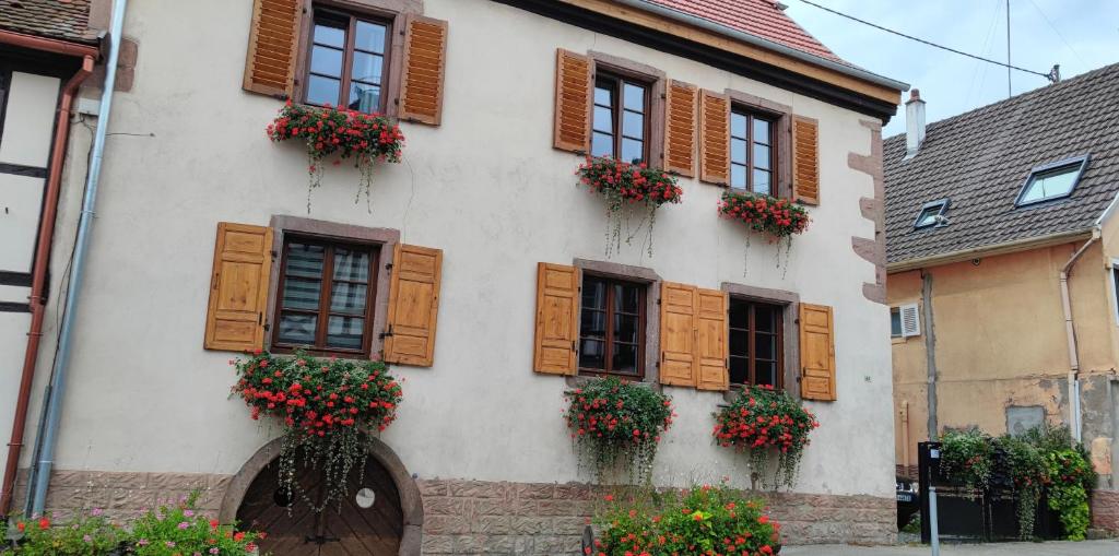 a building with wooden shutters and flowers on it at Gîte À l'aigle de sable in Kintzheim