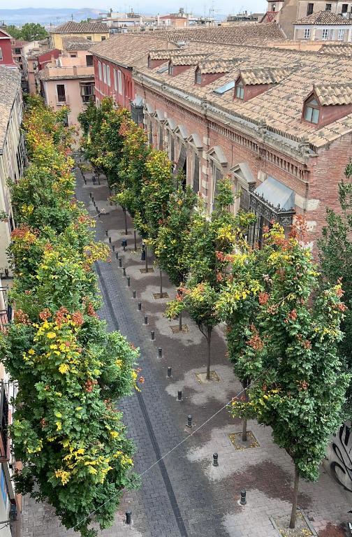 Santa Escolástica en pleno centro de Granada - 19