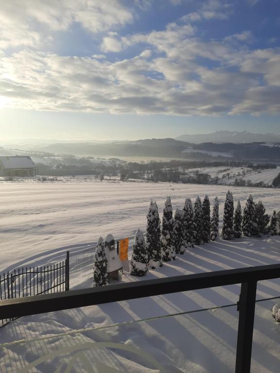 a group of trees in the snow on a balcony at Jaki Widok! in Maniowy