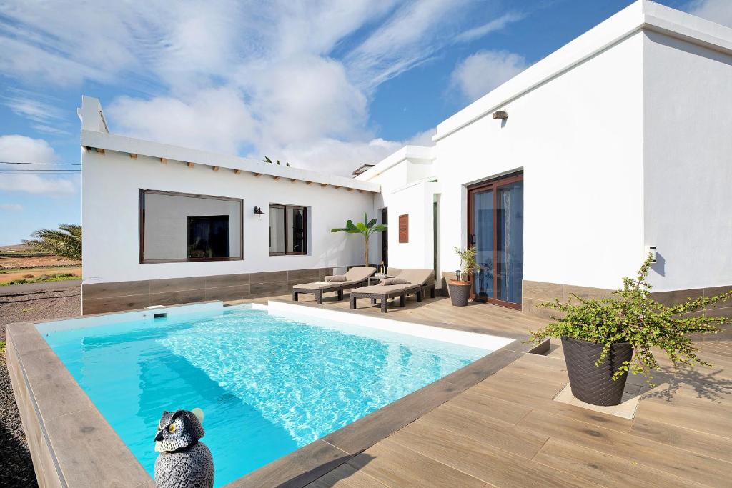 un gato parado junto a una piscina en una casa en Casa Guenia I en Teguise