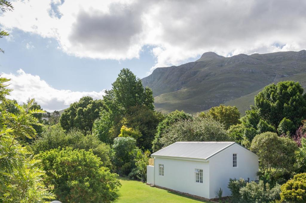 a white cottage in the middle of a forest with mountains at The Earthy Inn in Greyton