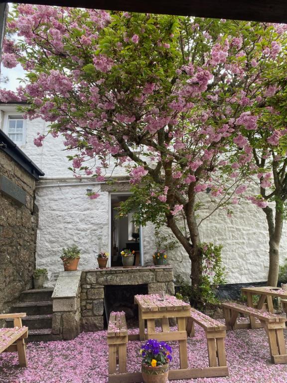 un jardín con chimenea y un árbol con flores rosas en The White House at The Tinners Arms en St Ives