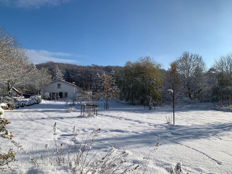Landhaus „Blattgold“ خلال فصل الشتاء