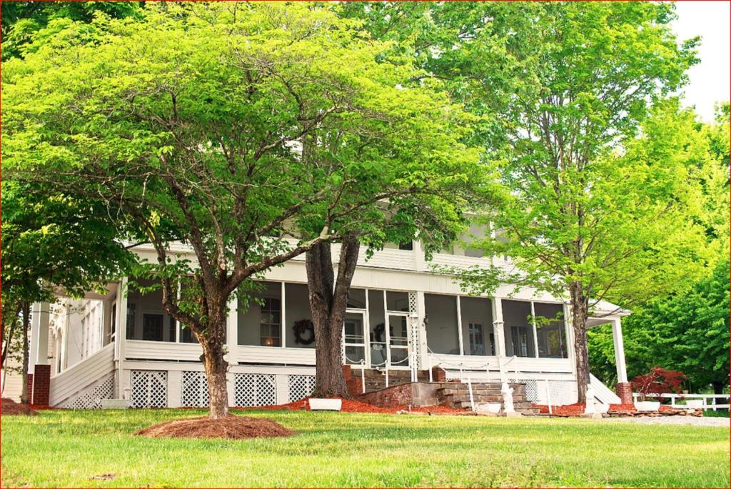 ein weißes Haus mit einem Baum im Hof in der Unterkunft Franklin Terrace Bed and Breakfast in Franklin